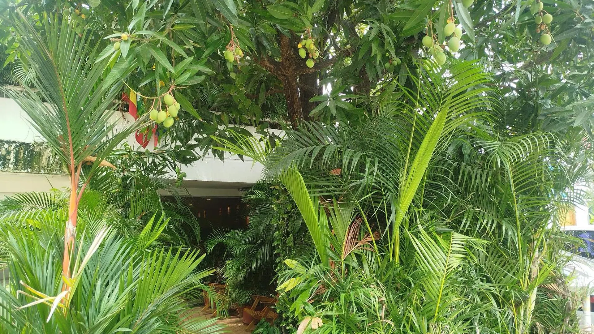 Casa Hotel Milan Cartagena 0*,  Colombia